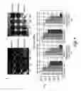 Fig. 08 - Method and detection and decontamination of antigens by nanoparticle-raman spectroscopy