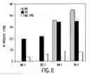 Fig. 08 - Modified HCV peptide immunogens