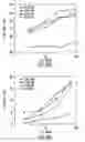 Fig. 10 - Modified HCV peptide immunogens