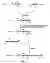 Fig. 06 - In vivo modulation of neuronal transport