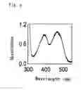 Fig. 06 - Flavin protein of trypanosoma cruzi, method of screening vermicide with the use of the same and diagnostic