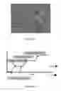 Fig. 03 - Thin foam coating comprising discrete, closed-cell capsules