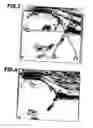 Fig. 03 - Collagen hydrolysate