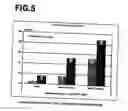 Fig. 04 - Collagen hydrolysate