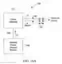 Fig. 28 - Processed water and therapeutic uses thereof
