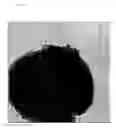 Fig. 09 - Production of nanocapsules and microcapsules by layer-wise polyelectrolyte self-assembly