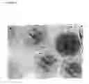 Fig. 05 - Production of nanocapsules and microcapsules by layer-wise polyelectrolyte self-assembly