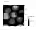 Fig. 07 - Production of nanocapsules and microcapsules by layer-wise polyelectrolyte self-assembly
