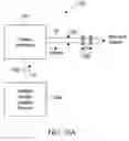 Fig. 28 - Composition and therapeutic uses thereof