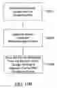 Fig. 29 - Composition and therapeutic uses thereof
