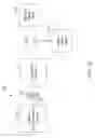 Fig. 06 - Processed water and therapeutic uses thereof
