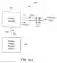 Fig. 28 - Processed water and therapeutic uses thereof