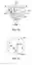 Fig. 20 - Processed water and therapeutic uses thereof