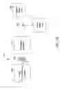 Fig. 06 - Composition and therapeutic uses thereof