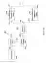 Fig. 13 - Composition and therapeutic uses thereof