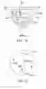 Fig. 20 - Processed water and therapeutic uses thereof