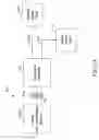 Fig. 06 - Processed water and therapeutic uses thereof