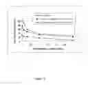 Fig. 06 - Methods and compositions for augmenting cancer chemotherapeutic agents