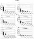 Fig. 02 - Combined effects of nutrients on proliferation of stem cells