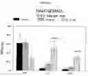 Fig. 06 - Combined effects of nutrients on proliferation of stem cells