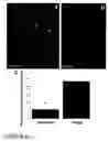Fig. 10 - Combined effects of nutrients on proliferation of stem cells
