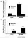 Fig. 13 - Combined effects of nutrients on proliferation of stem cells