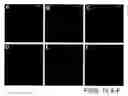 Fig. 14 - Combined effects of nutrients on proliferation of stem cells