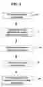 Fig. 02 - Method of printing a durable UV cured ink design on a substrate