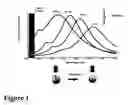 Fig. 02 - Plasmon resonant based eye protection