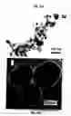 Fig. 02 - Synthesis of tetragonal phase stabilized nano and submicron sized nanoparticles