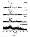 Fig. 05 - Synthesis of tetragonal phase stabilized nano and submicron sized nanoparticles