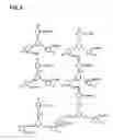 Fig. 10 - Redox fuel cell using methanol