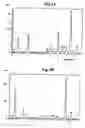 Fig. 06 - Fuel cell, electrode catalyst and electrode for fuel cell