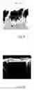 Fig. 09 - Anode for secondary battery, secondary battery, and method of manufacturing anode for secondary battery