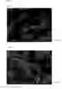 Fig. 07 - Positive electrode active material, production method thereof and non-aqueous electrolyte secondary battery