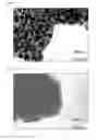 Fig. 02 - Nanocomposite material for the anode of a lithium cell