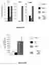 Fig. 32 - Modified human embryonic stem cells and methods of use to treat neuron-associated disorders