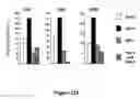 Fig. 33 - Modified human embryonic stem cells and methods of use to treat neuron-associated disorders
