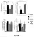 Fig. 43 - Modified human embryonic stem cells and methods of use to treat neuron-associated disorders