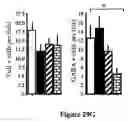 Fig. 48 - Modified human embryonic stem cells and methods of use to treat neuron-associated disorders