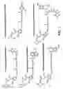 Fig. 02 - Bioreactive agents