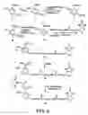 Fig. 06 - Bioreactive agents