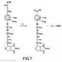 Fig. 08 - Bioreactive agents