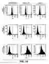 Fig. 31 - Methods and compositions for screening using diphtheria toxin constructs
