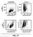 Fig. 32 - Methods and compositions for screening using diphtheria toxin constructs