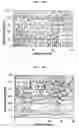 Fig. 07 - Method for screening of a lipase having improved enzymatic activity using yeast surface display vector and the lipase