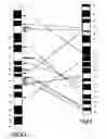 Fig. 04 - Porcine polymorphisms and methods for detecting them