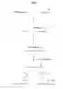 Fig. 02 - Multiplex polymer ligation