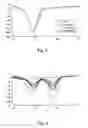 Fig. 04 - Method of detecting pancreatic islet amyloid protein mutant gene and nucleic acid probe and kit therefor