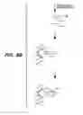 Fig. 08 - Detection of nucleic acid reactions on bead arrays